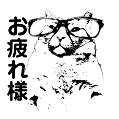 [LINEスタンプ] 大人しい我が家の猫2