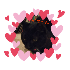 [LINEスタンプ] クロにゃー2