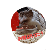 [LINEスタンプ] サリーネズミ