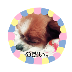 [LINEスタンプ] ちっぷくん。 fetchpriority=high