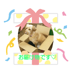 [LINEスタンプ] ルビーとローズのスタンプ