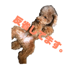 [LINEスタンプ] 超おバカのお空