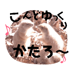 [LINEスタンプ] リアルアニマルすたんぷ ver2