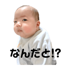 [LINEスタンプ] うーたんスタンプ♬①