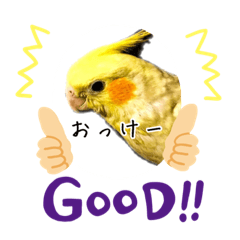 [LINEスタンプ] オカメさんのスタンプ