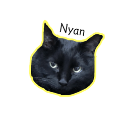 [LINEスタンプ] 黒猫ウネくん