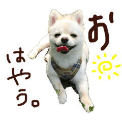 [LINEスタンプ] パンタピヨ星人としもべの犬々。