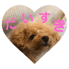 [LINEスタンプ] トイプードルふわちゃん2