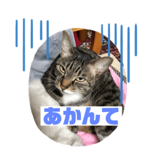 [LINEスタンプ] 関西弁！みる姐さんの日常スタンプ
