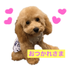[LINEスタンプ] ぽんすの日常