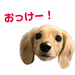 [LINEスタンプ] シューとミーとモー