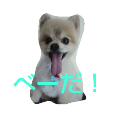 [LINEスタンプ] 空ちゃんとの日々よ