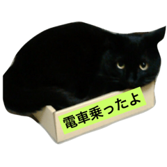 [LINEスタンプ] 黒猫メル