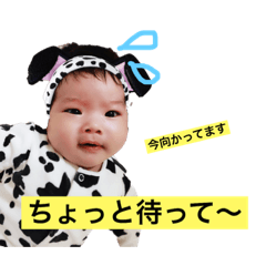 [LINEスタンプ] おーちゃんすたんぷ1118