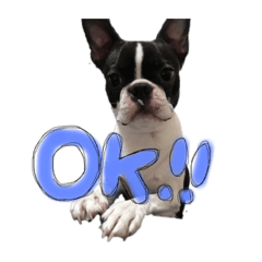 [LINEスタンプ] とまちゃん2