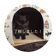[LINEスタンプ] かわさき