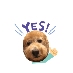 [LINEスタンプ] プー助くんの日常