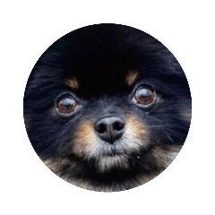 [LINEスタンプ] 熊  犬