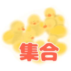 [LINEスタンプ] ひよこにも言わせて