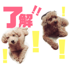 [LINEスタンプ] るんあい
