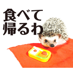 [LINEスタンプ] ディランと愉快な仲間たち パート3