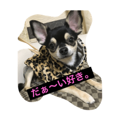 [LINEスタンプ] まぁ様