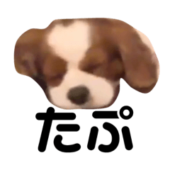 [LINEスタンプ] ゆるすぎるロコさん