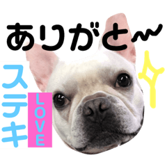 [LINEスタンプ] 僕、シアン！恋しちゃった〜