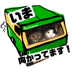 [LINEスタンプ] 癒しの猫たち。