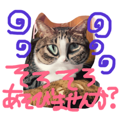 [LINEスタンプ] 愛しのりぴたんとりおたん♡