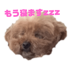 [LINEスタンプ] お初スタンプです❗