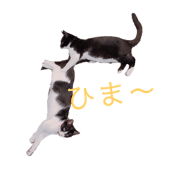 [LINEスタンプ] HITOMIのぐりとぐら。