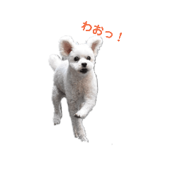 [LINEスタンプ] リーセラ1