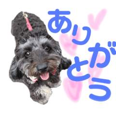 [LINEスタンプ] くりすたんぷ(2)
