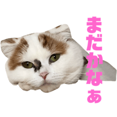 [LINEスタンプ] ベルを鳴らすプップちゃん
