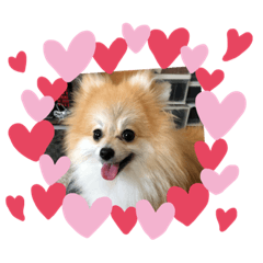 [LINEスタンプ] ベルルです