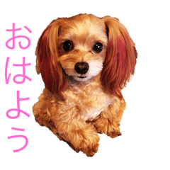 [LINEスタンプ] れもぽんのスタンプ