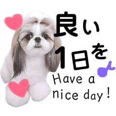 [LINEスタンプ] シーズーの凪さんと仲間たち