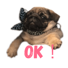 [LINEスタンプ] 名犬ブラッシュ