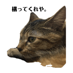 [LINEスタンプ] みみの可愛いスタンプ