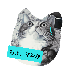 [LINEスタンプ] 桃日々