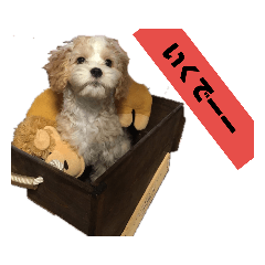 [LINEスタンプ] キャバプーきなこ