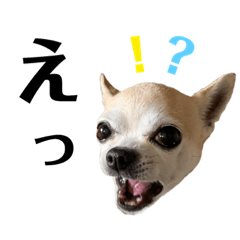 [LINEスタンプ] スムチのユキチ2