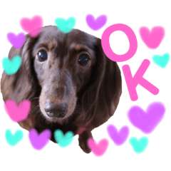 [LINEスタンプ] ココア♡