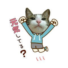 [LINEスタンプ] 最愛なるなつき君の
健康を祈って！！！