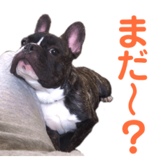[LINEスタンプ] もぎるとほんごうのスタンプ