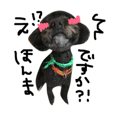 [LINEスタンプ] 愛犬リンといちのゆるゆるスタンプ
