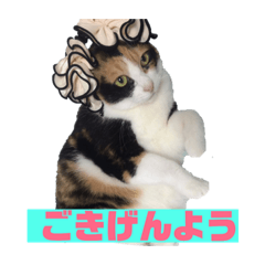 [LINEスタンプ] 美少女猫の日常挨拶スタンプ3
