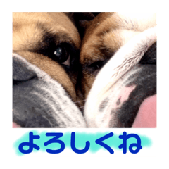 [LINEスタンプ] Funny Brother's