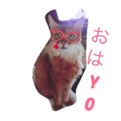 [LINEスタンプ] まちゅこ